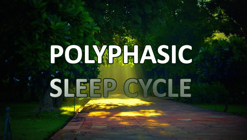 polyphasic-sleep-cycle-morning