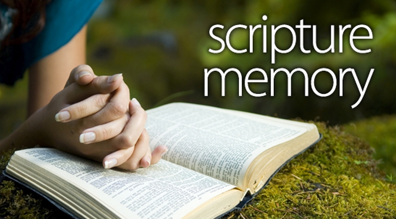 scripture-memory